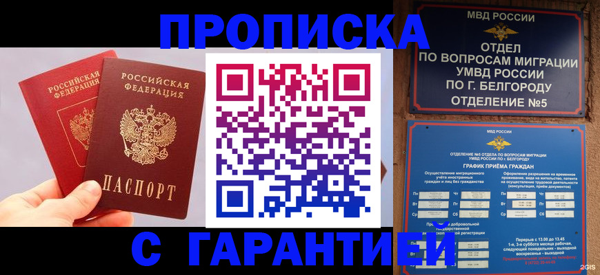 прописка 2025 в Никольске